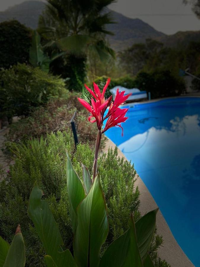 Hotel 212 Olympos Kültér fotó